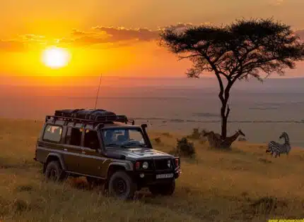 Faire un safari en Tanzanie : un voyage inoubliable au cœur de la nature
