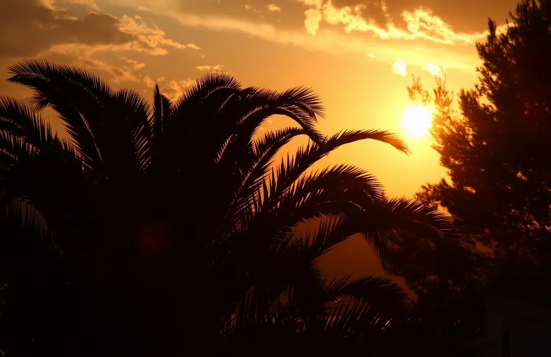 Se loger pour les vacances en Guadeloupe