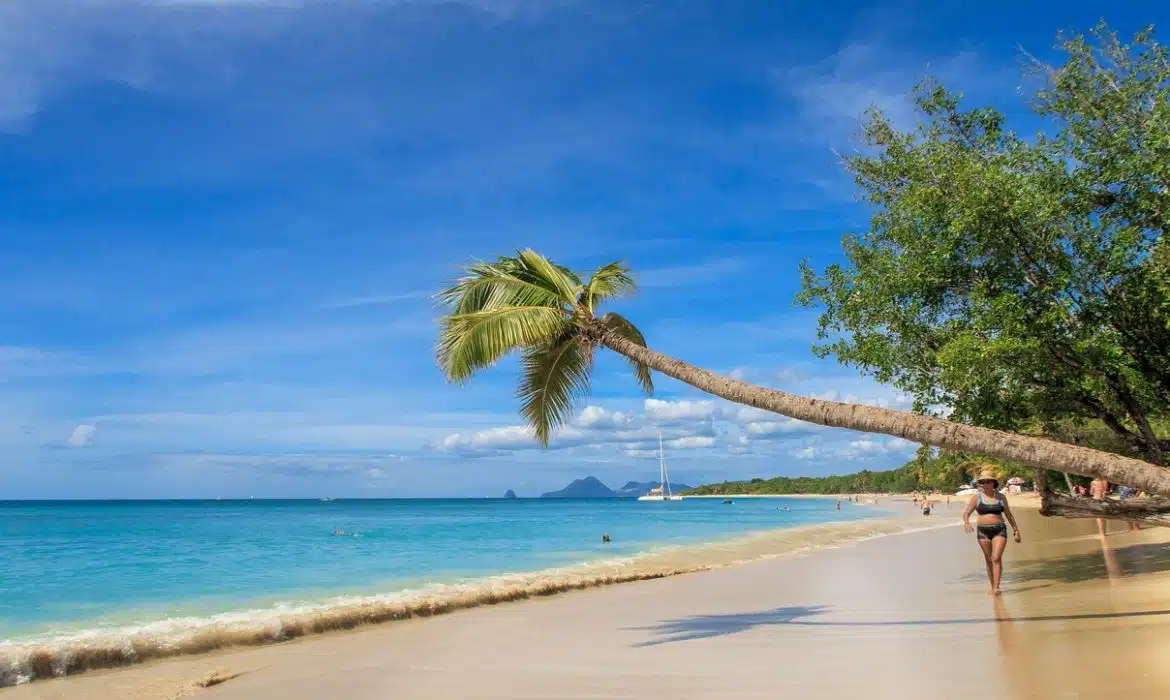 La Martinique : les endroits et activités incontournables