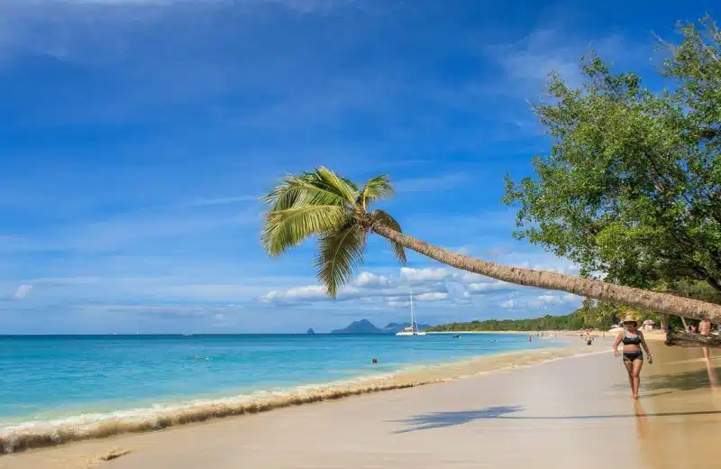 La Martinique : les endroits et activités incontournables