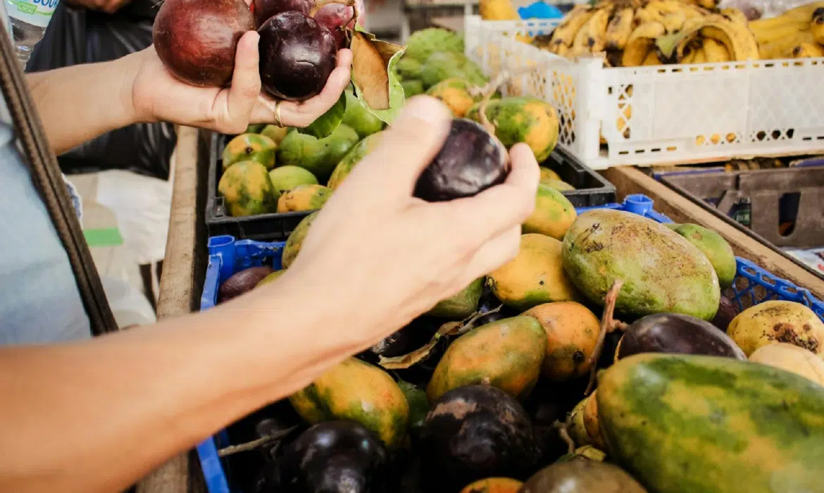 Un vol vers les Antilles depuis la province est-il possible ?