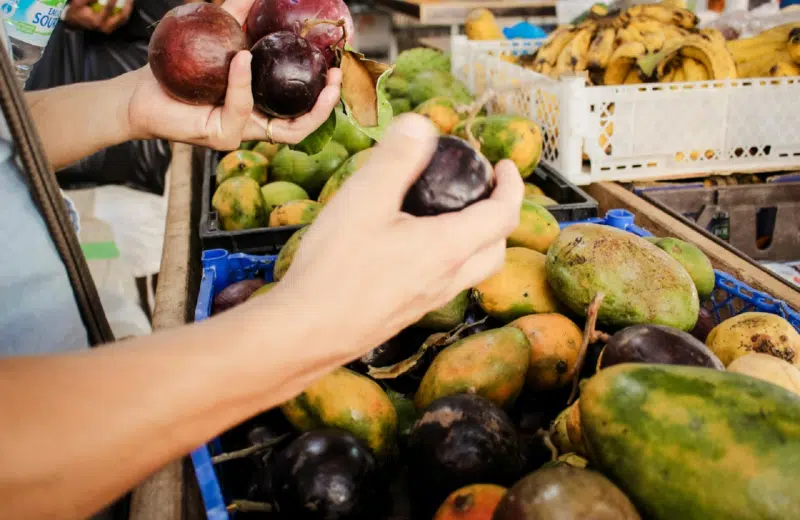 Un vol vers les Antilles depuis la province est-il possible ?