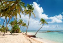 Préparer son arrivée en Guadeloupe : conseils pour un voyage sans accroc