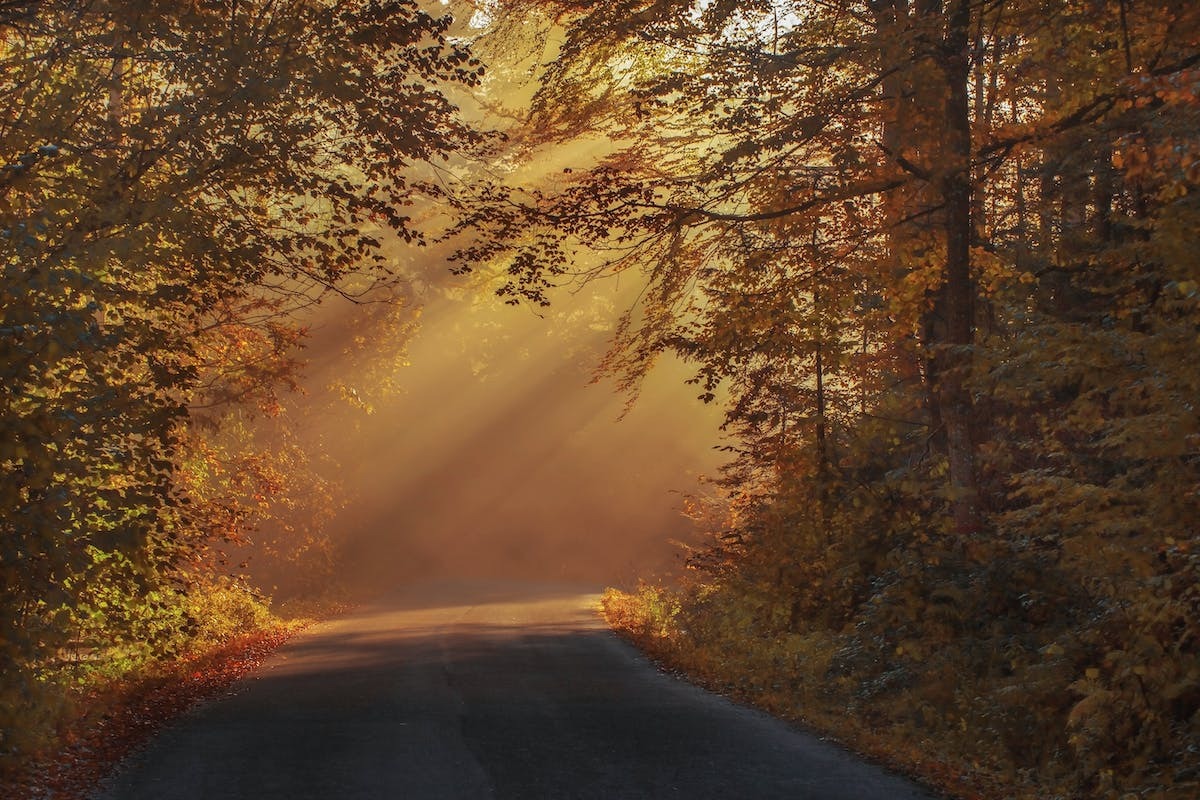 route  détente