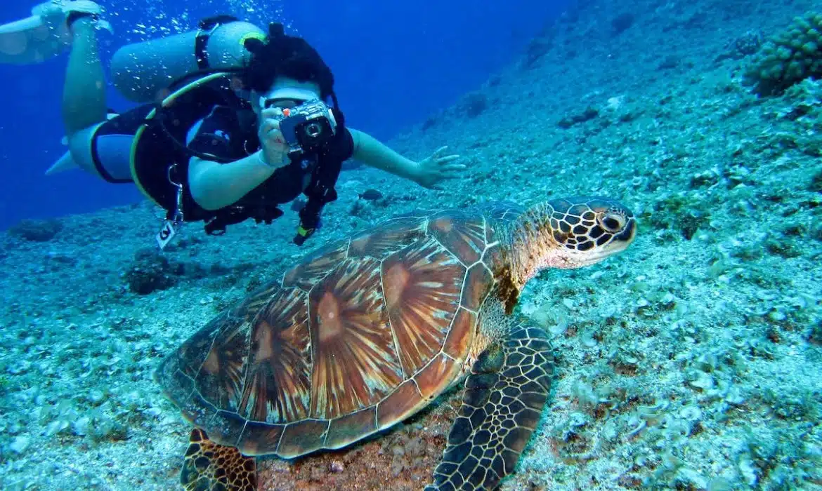 Plongée sous-marine : Explorez les merveilles des fonds marins