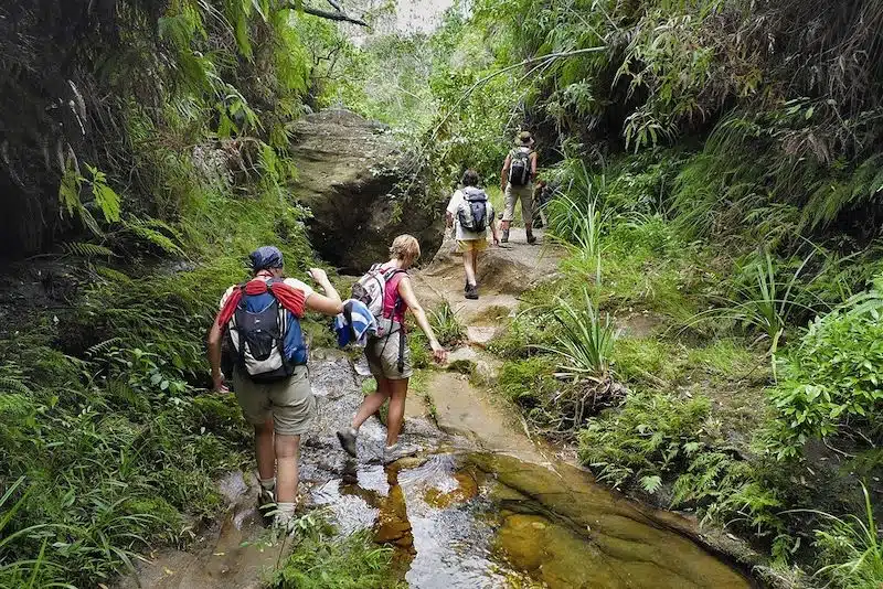 Costa Rica : une destination intéressante pour faire une randonnée