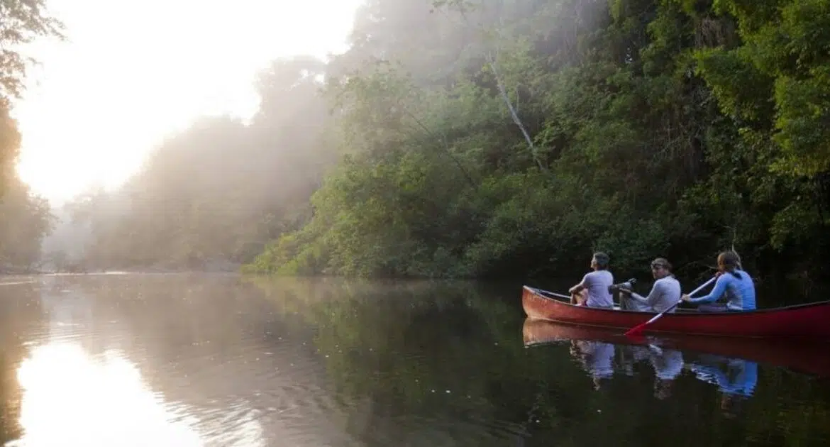 Quelle est la meilleure période pour aller en Guyane ?