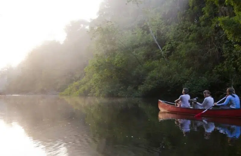 Quelle est la meilleure période pour aller en Guyane ?