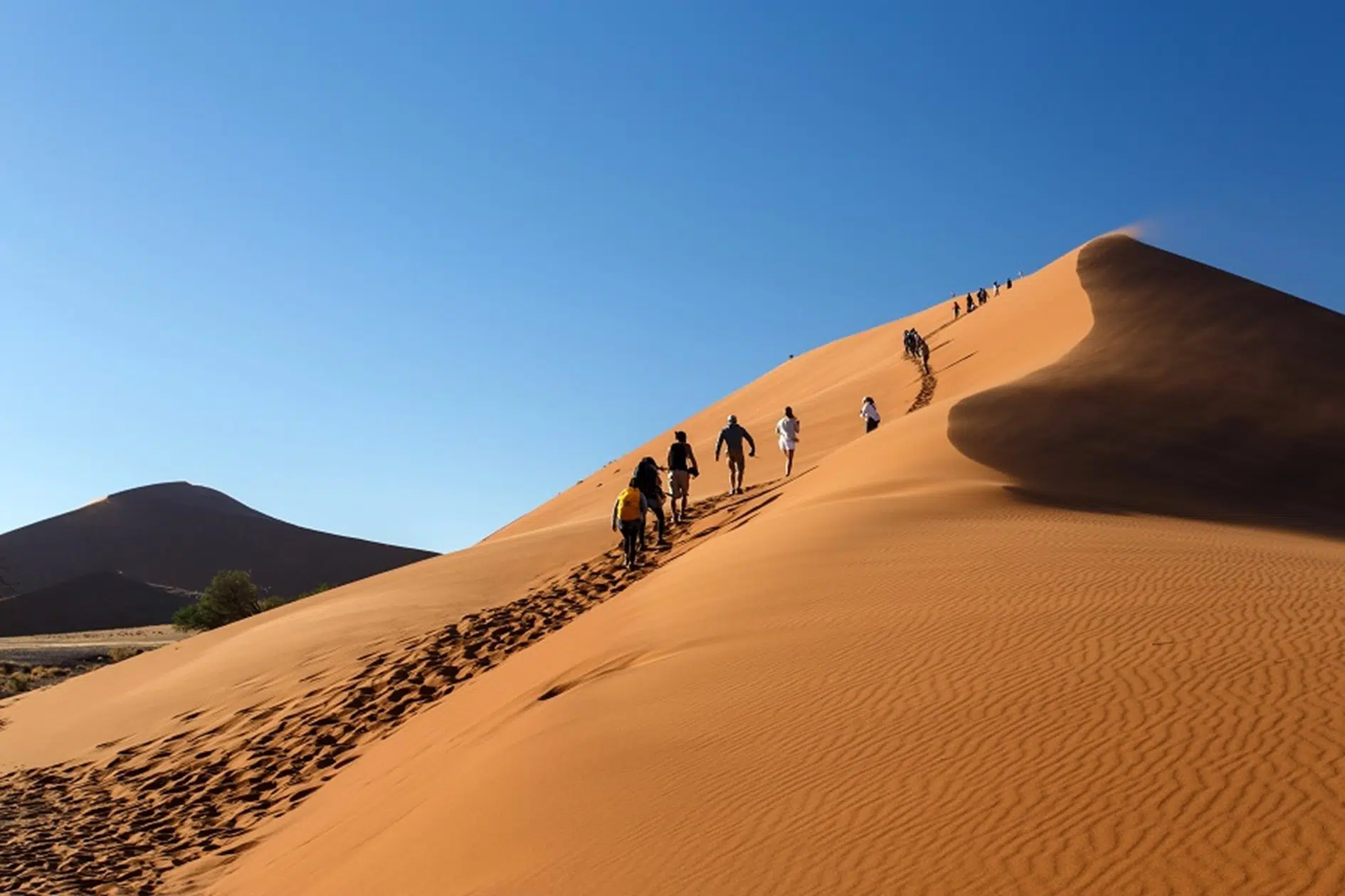 Des dunes de sable