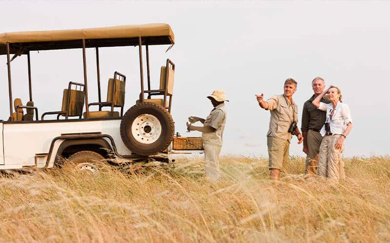 Pourquoi choisir de faire du safari en Afrique ?
