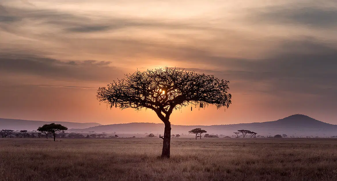 Est-ce que l’Afrique du Sud est un pays développé ?