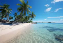 Découvrez les plages incontournables du Belize : sable fin et eaux cristallines