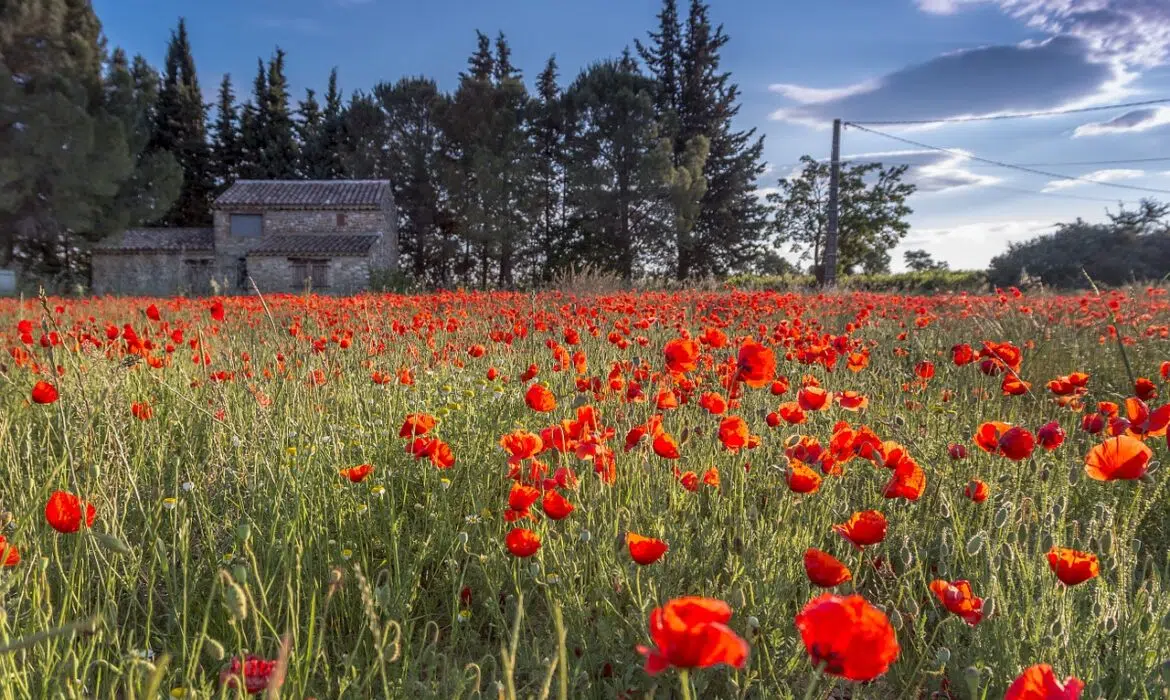 La belle région du Languedoc-Roussillon à découvrir