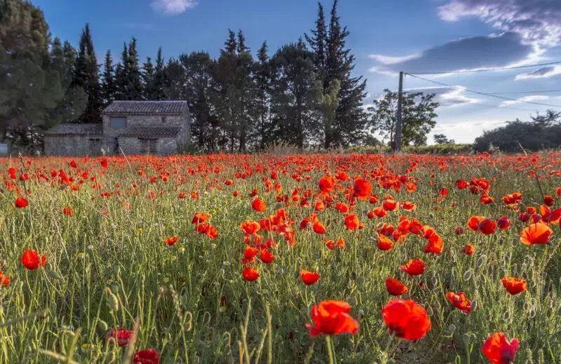 La belle région du Languedoc-Roussillon à découvrir