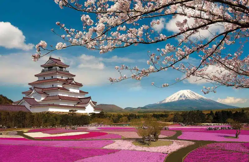 La meilleure période pour un voyage au Japon ?