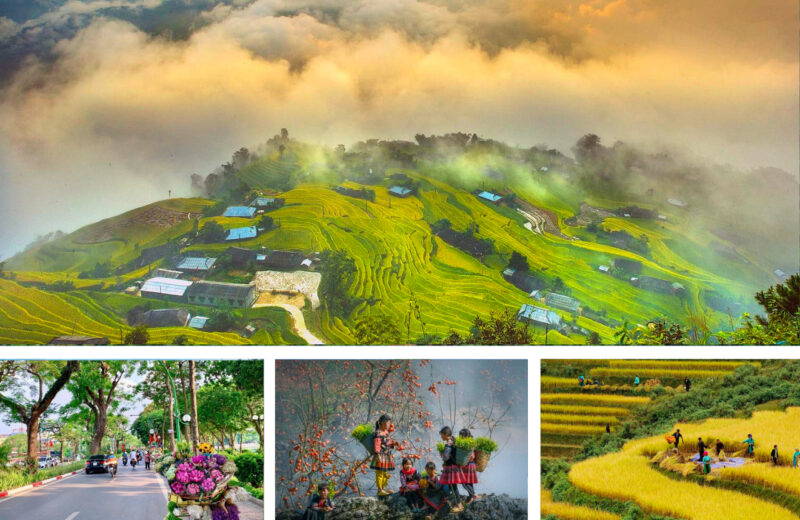 Les 5 avantages de voyager avec une agence locale au Vietnam
