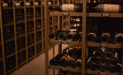 Voyage œnologique à Bordeaux : visites de châteaux et nuits de qualité