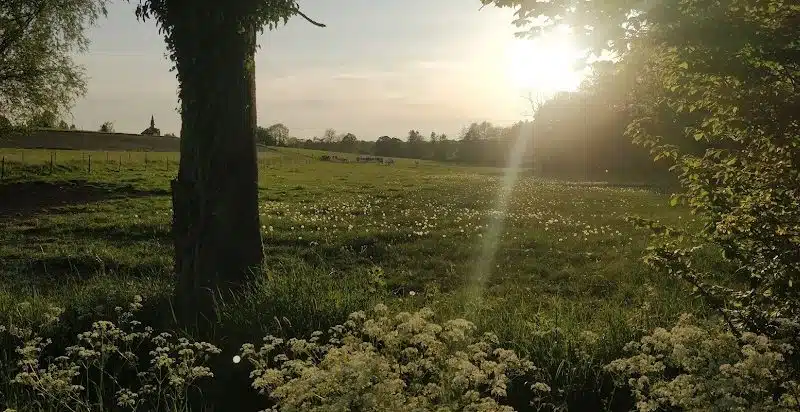 Explorer les églises fortifiées de Thierache et la beauté naturelle de la région des Ardennes