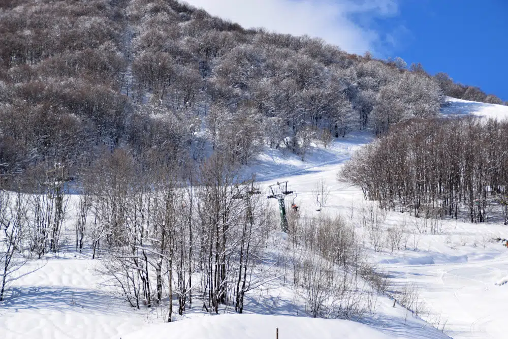 Les stations de ski proches de Monaco