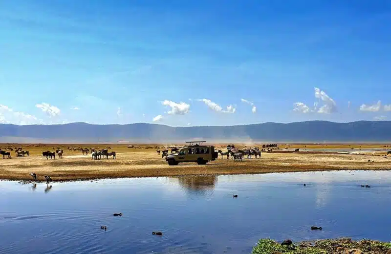 Visitez le lac Natron en Tanzanie, un voyage fascinant