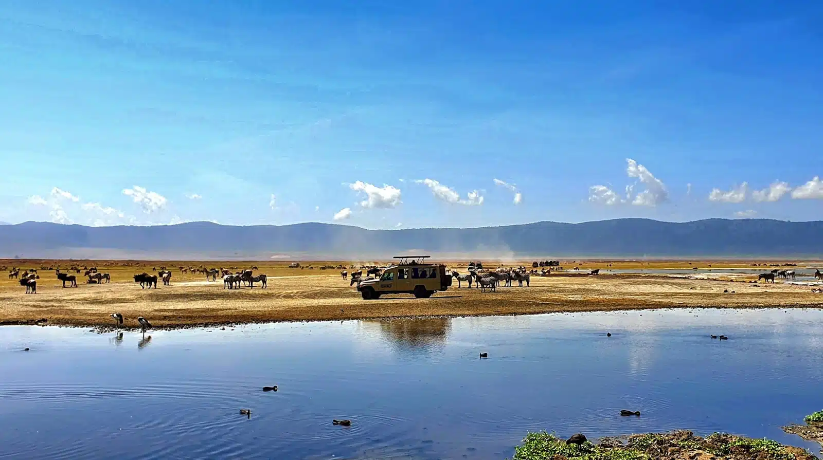tanzanie