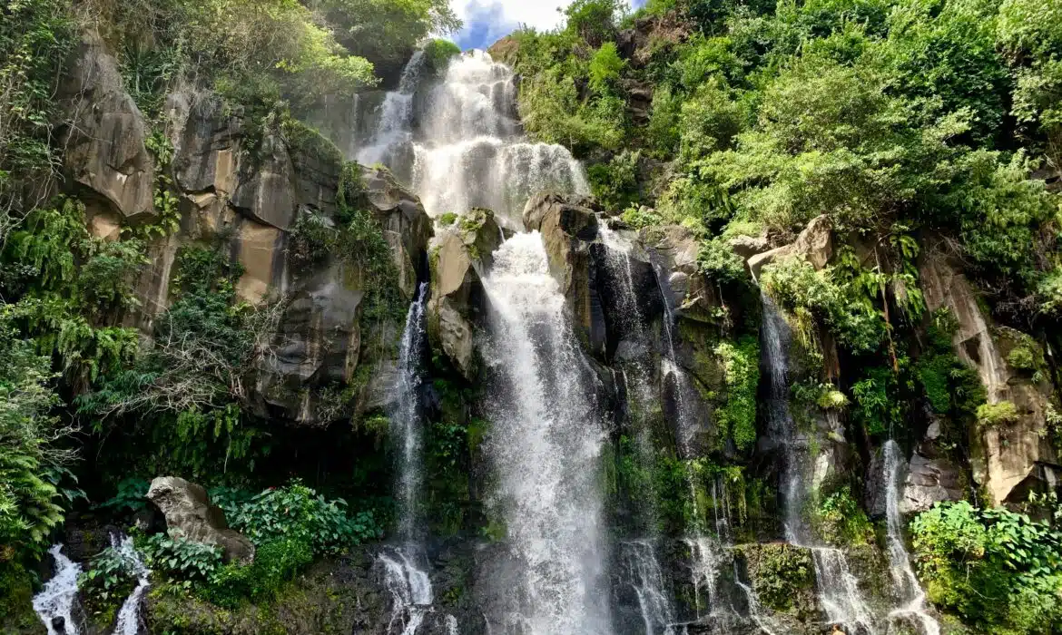 Saint-Denis ou Saint-Paul : quelle est la meilleure destination sur l’île de la Réunion ?