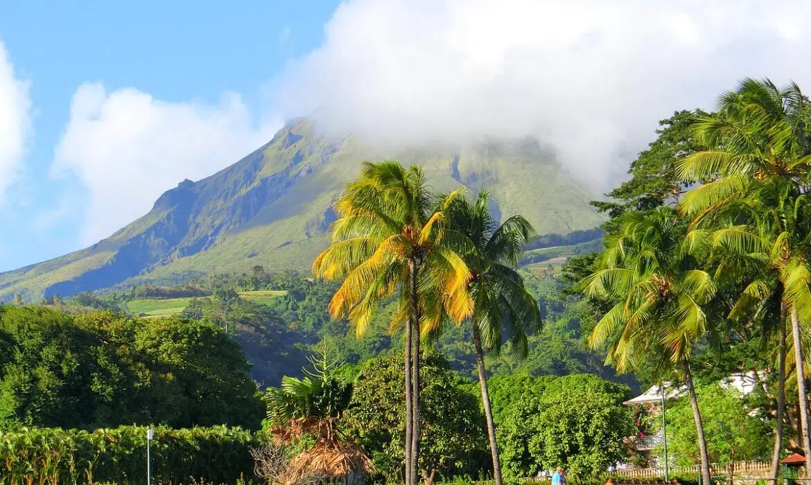 Martinique : une destination paradisiaque pour cet hiver