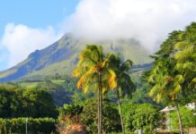 MartiniqueÂ : une destination paradisiaque pour cet hiver