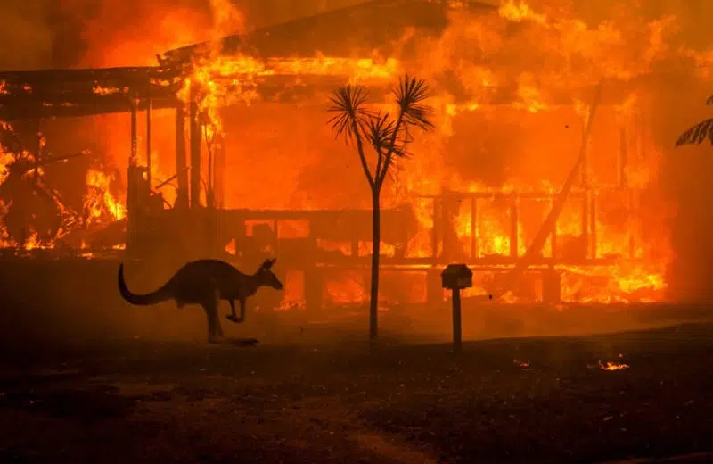 Où en sont les incendies en Australie ?