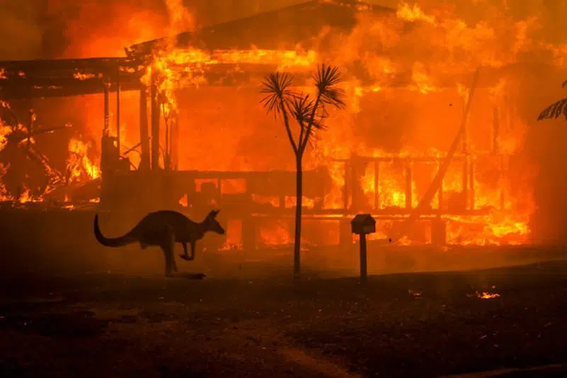 Où en sont les incendies en Australie ?