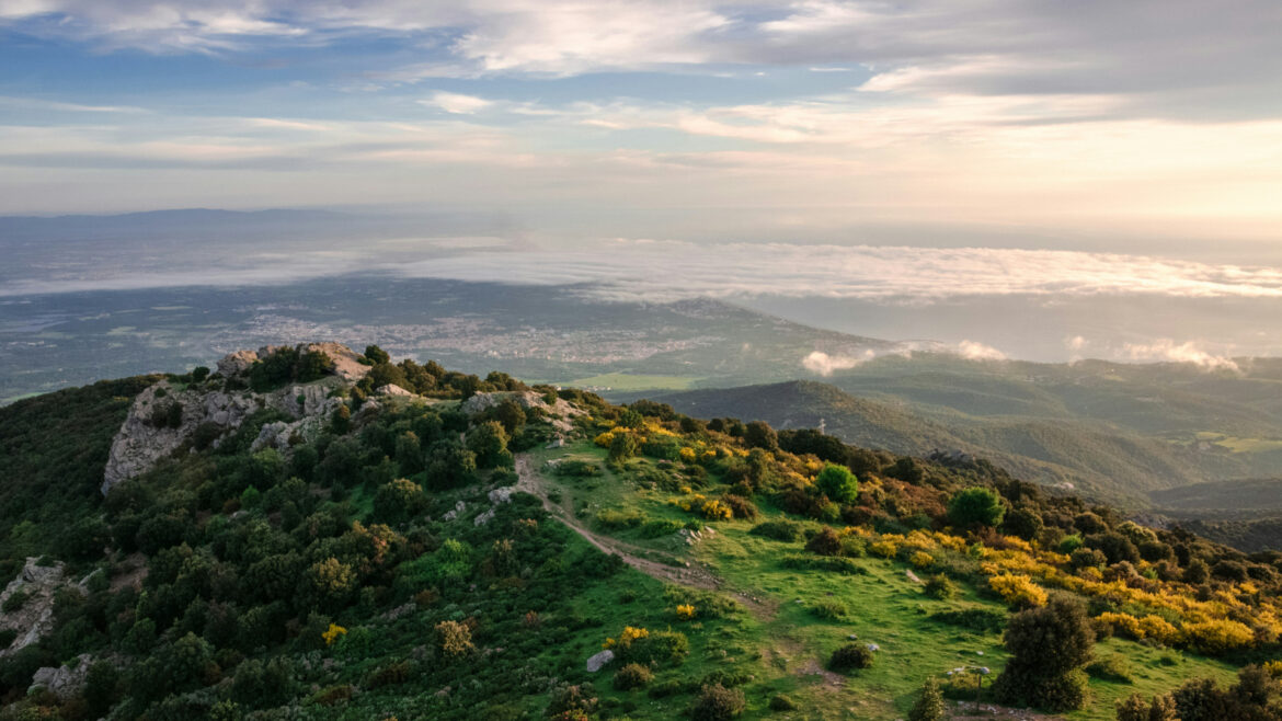 Où faire du camping cet été dans les Pyrénées-Orientales ?