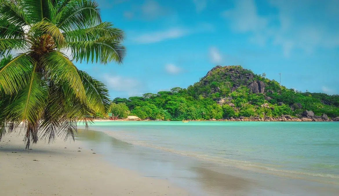 Quand partir aux Seychelles ?