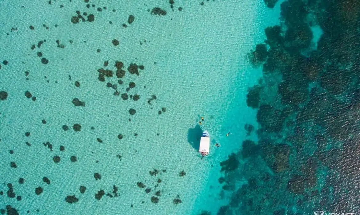 Quand partir Réunion Maurice ?