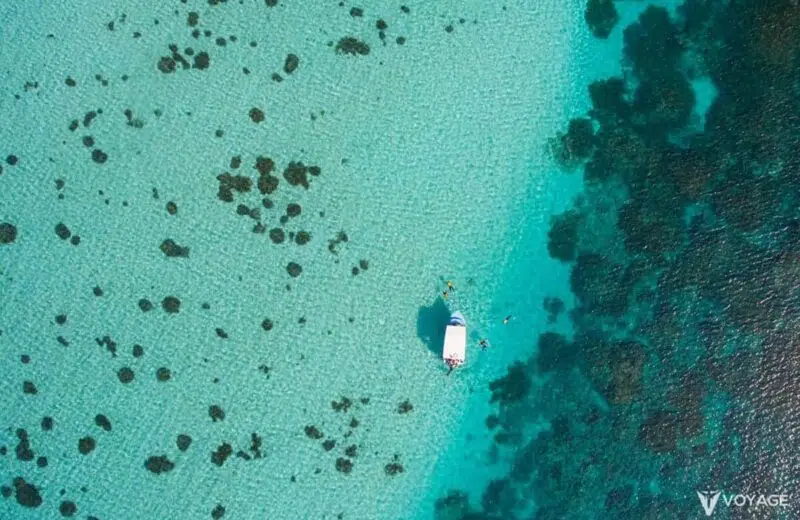 Quand partir Réunion Maurice ?