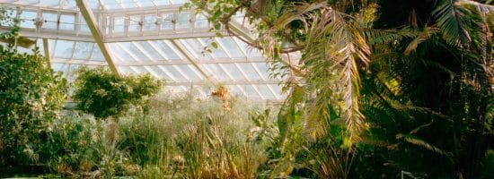 Les plus beaux jardins botaniques d'Italie