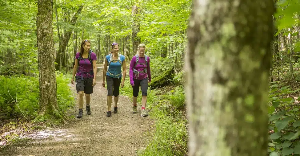 Comment préparer une virée dans la nature pendant une semaine ?